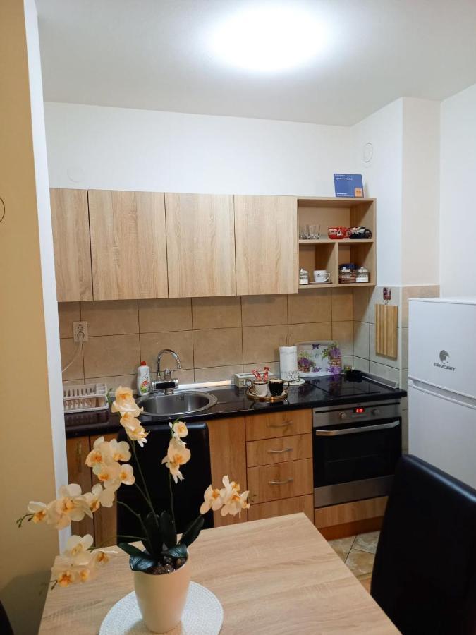 Apartman Central Биелина Екстериор снимка